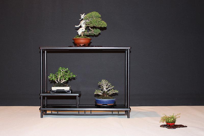 Bonsai, cay the, cay canh nghe thuat, cây cảnh nghệ thuật